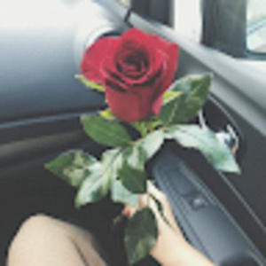 Meet your Posher, Flor sandy